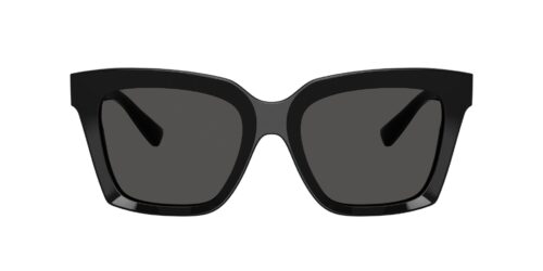 Dolce & Gabbana 4498 501/87