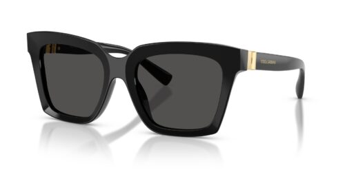 Dolce & Gabbana 4498 501/87